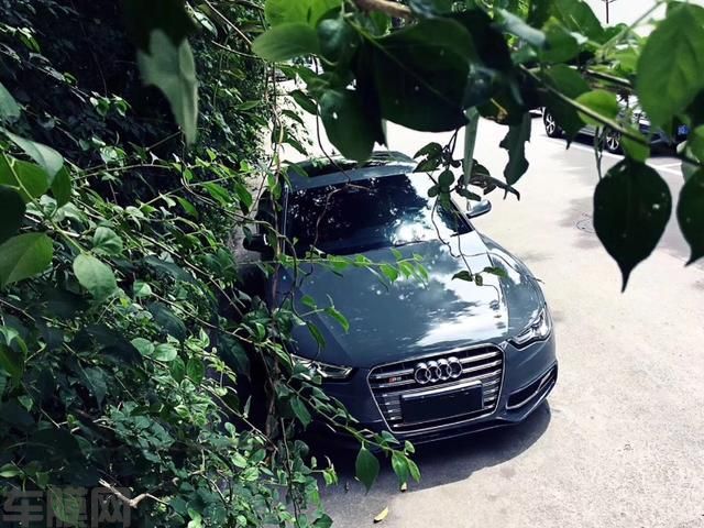 奥迪S5改色高光水泥灰 最美的水泥灰