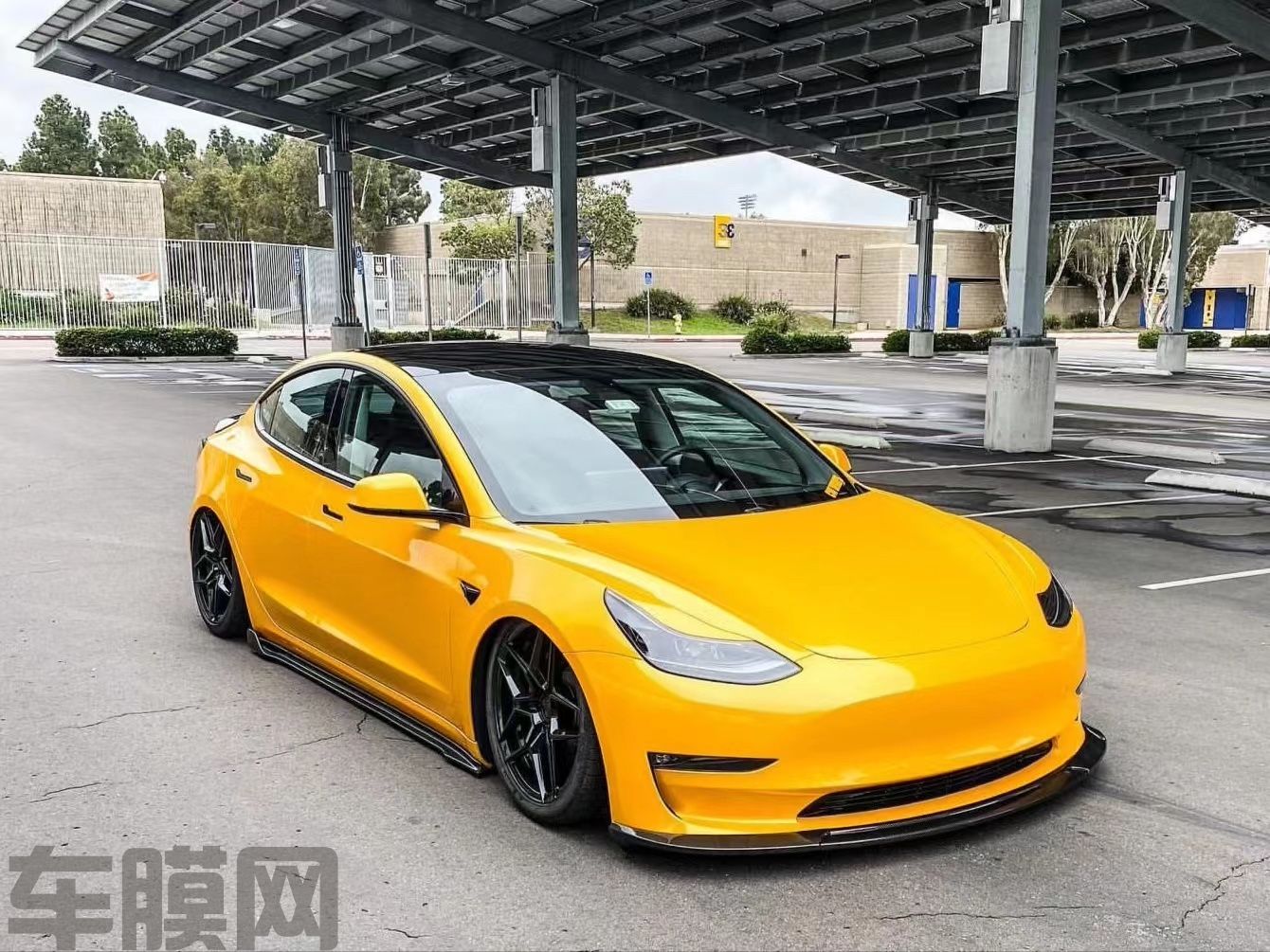 特斯拉Model 3 PET枫叶黄改色膜 效果图