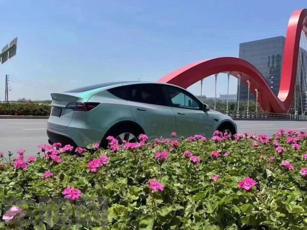 特斯拉Model Y 梦幻松石绿改色膜 效果图