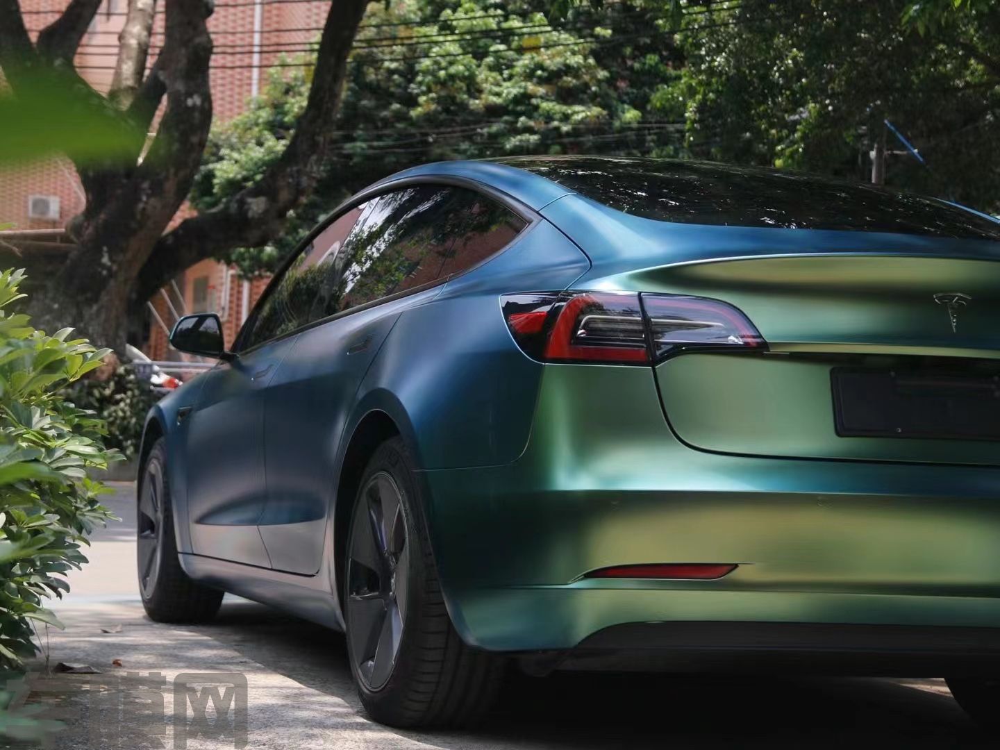 特斯拉Model 3 早春绿改色膜 效果图