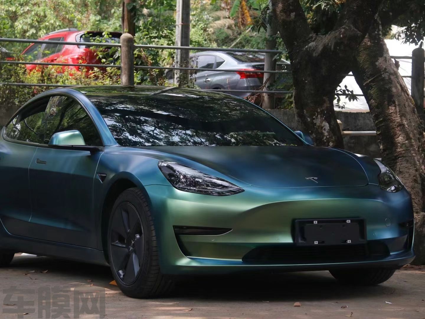 特斯拉Model 3 早春绿改色膜 效果图