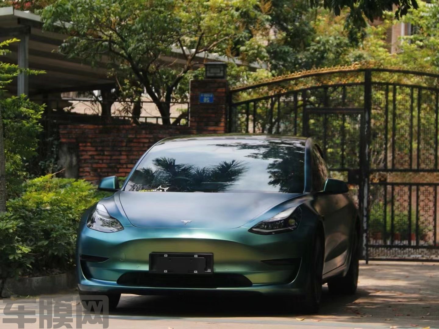 特斯拉Model 3 早春绿改色膜 效果图