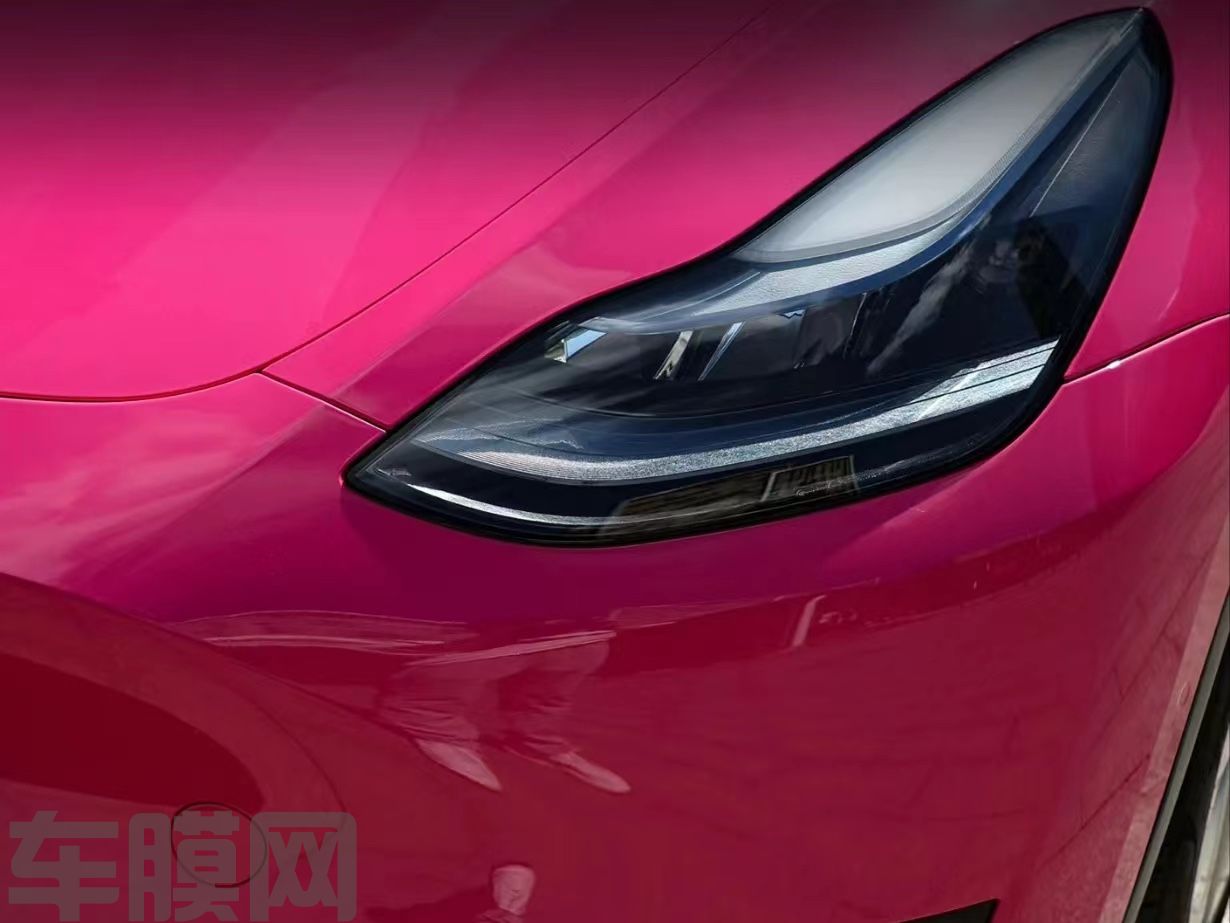 特斯拉Model Y 甜菜根紫改色膜 效果图